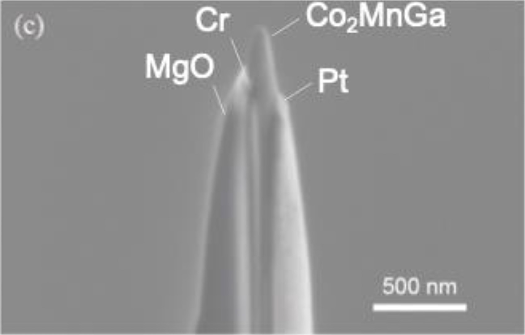 Featured image for “第18回アドバンストSEMセミナー 「銅合金の真空特性の研究」「電界放出電子源の研究」”